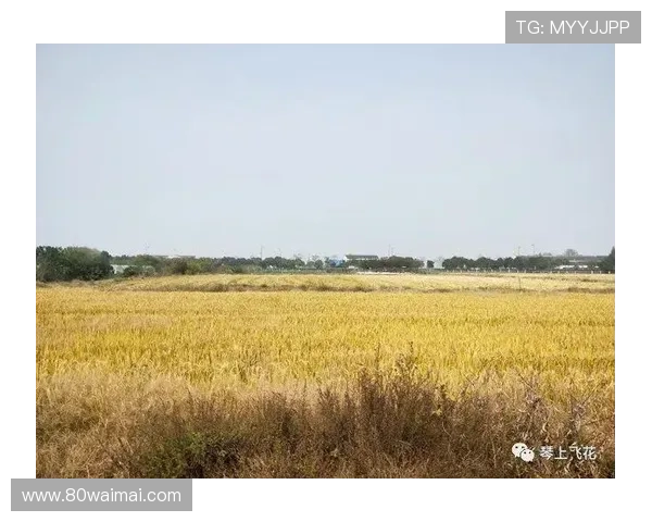 故乡的传说：藏在岁月深处的低语