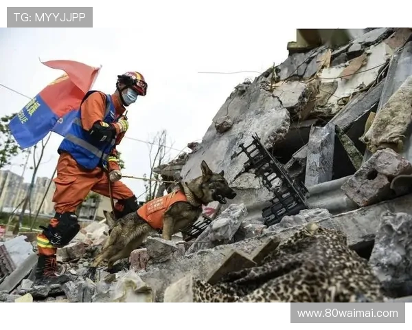 《急速救援》：当生死时速遇上温情守护，一场震撼心灵的冒险之旅