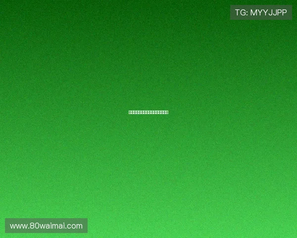 政法先锋：守护公平正义的时代脊梁